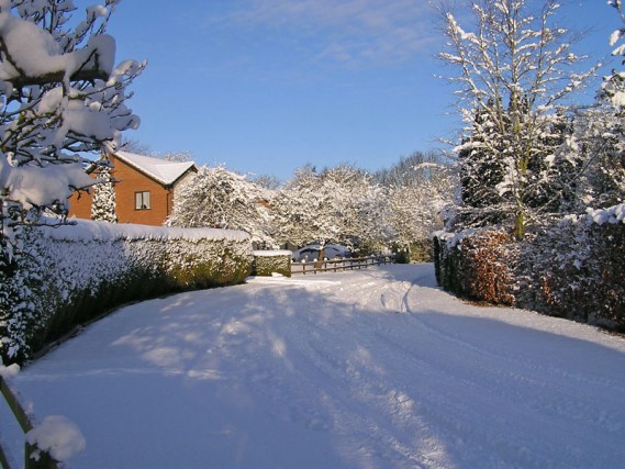 Alexander Close, January 2010