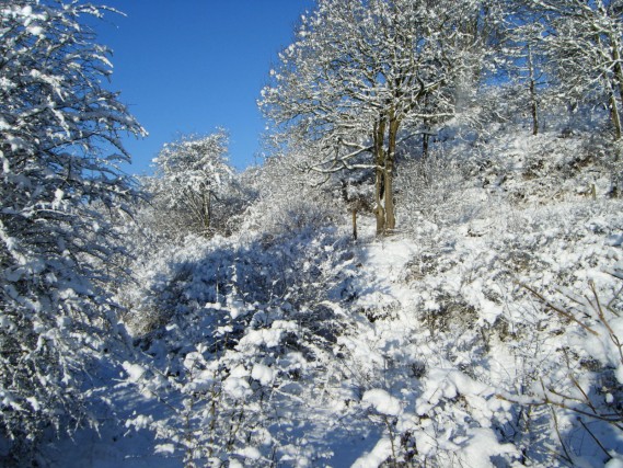 Upton in the snow